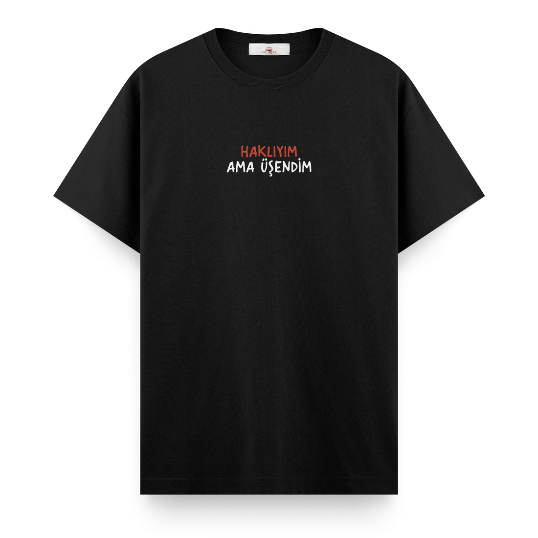 Haklıyım Ama Üşendim - Regular Tshirt